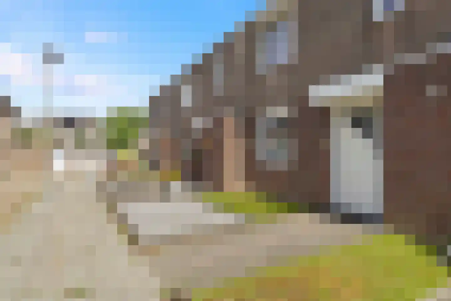 Rietbeek 38 Geleen thumbnail 39
