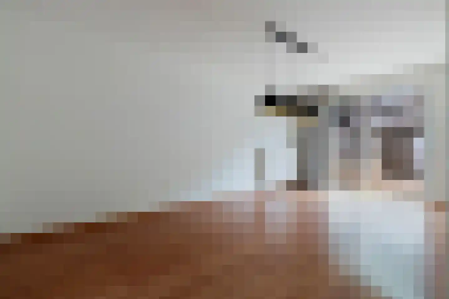 Rietbeek 38 Geleen thumbnail 7