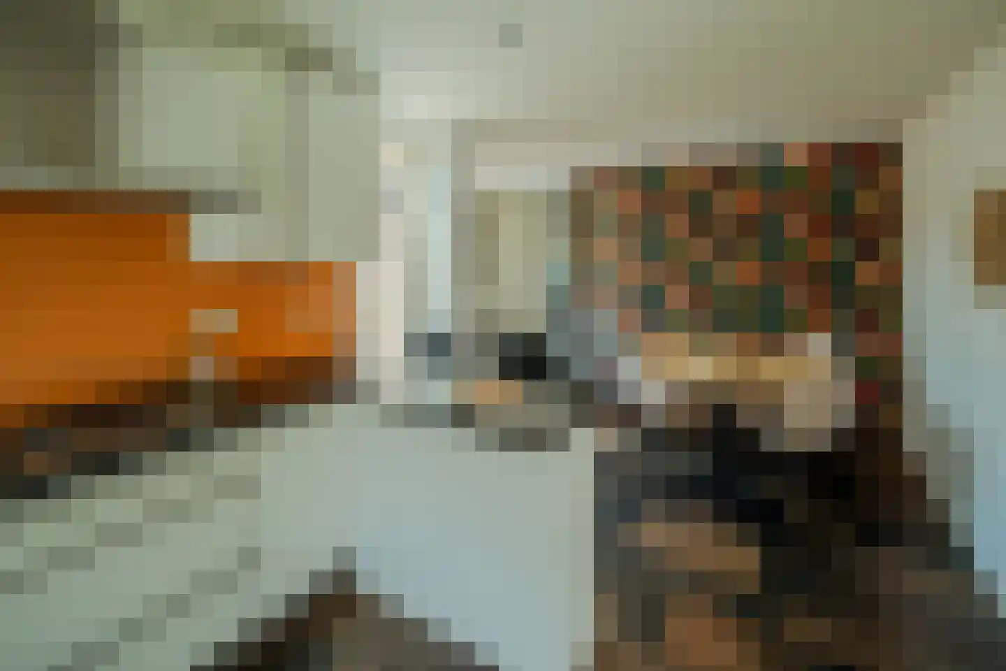 Rietbeek 9 Veldhoven thumbnail 16