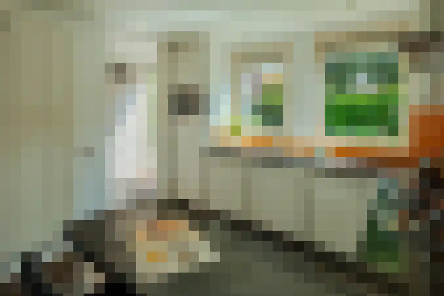 Rietbeek 9 Veldhoven thumbnail 17