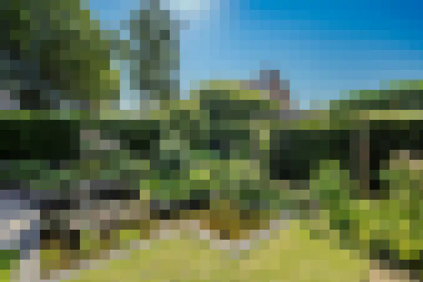 Rietbeek 9 Veldhoven thumbnail 29