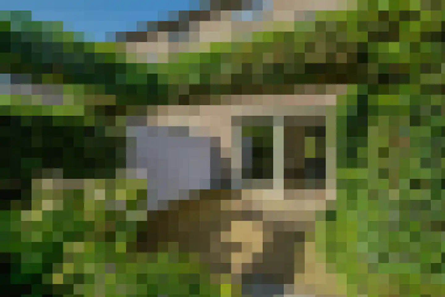 Rietbeek 9 Veldhoven thumbnail 30
