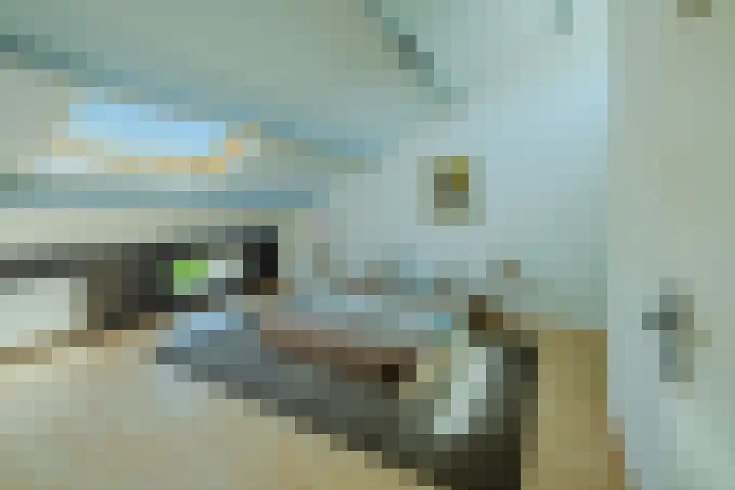 Rietbeek 9 Veldhoven thumbnail 46