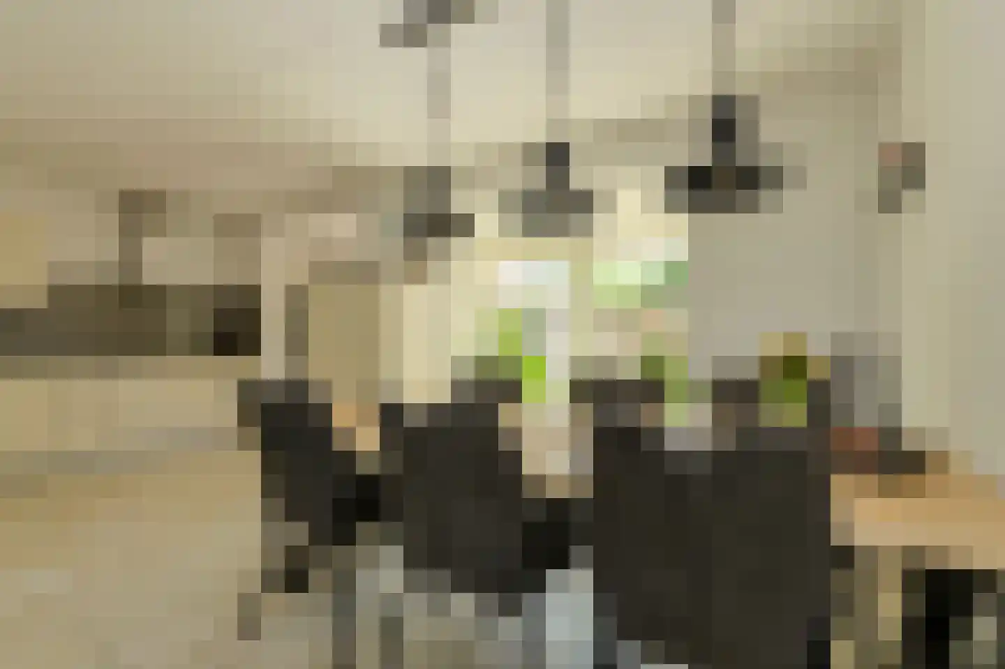 Rietbeemd 43 Oosterhout thumbnail 10
