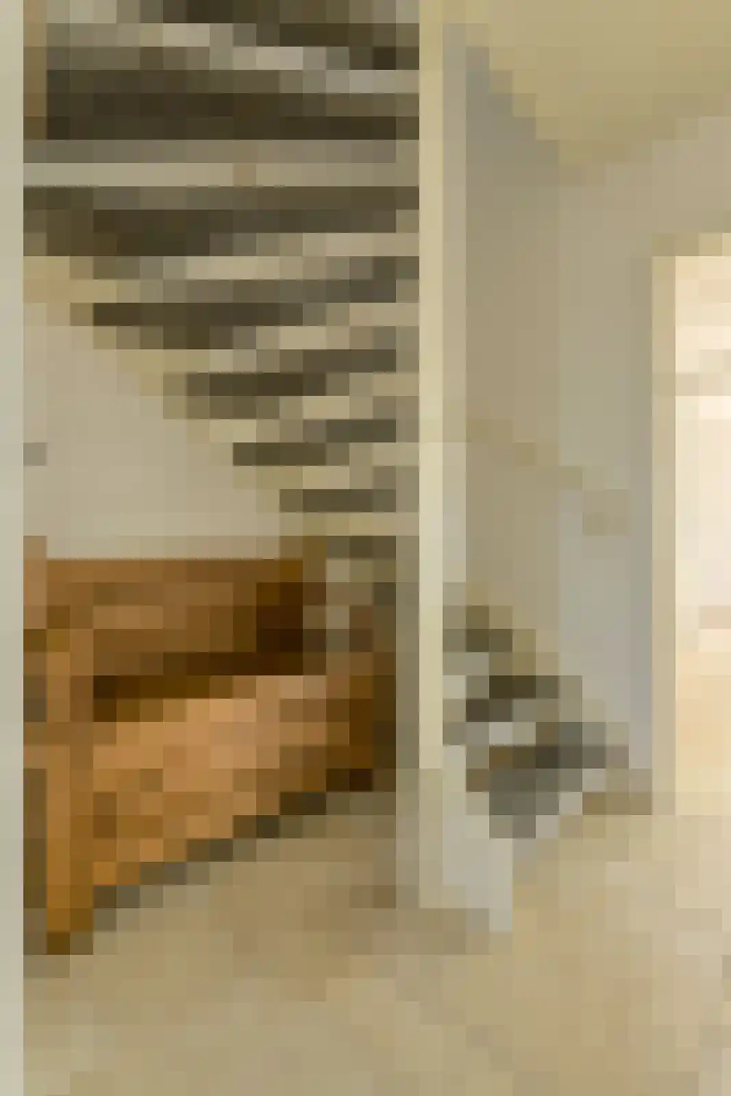 Rietbeemd 43 Oosterhout thumbnail 16
