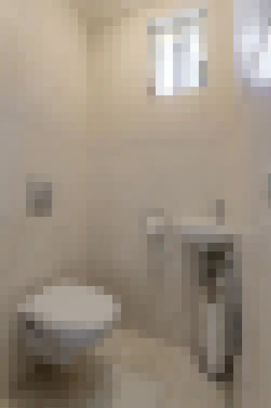 Rietbeemd 43 Oosterhout thumbnail 17