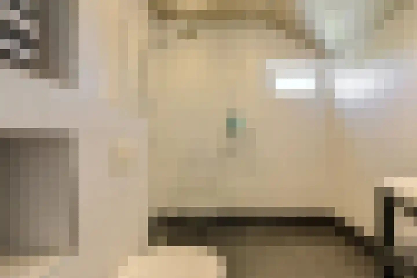 Rietbeemd 43 Oosterhout thumbnail 22