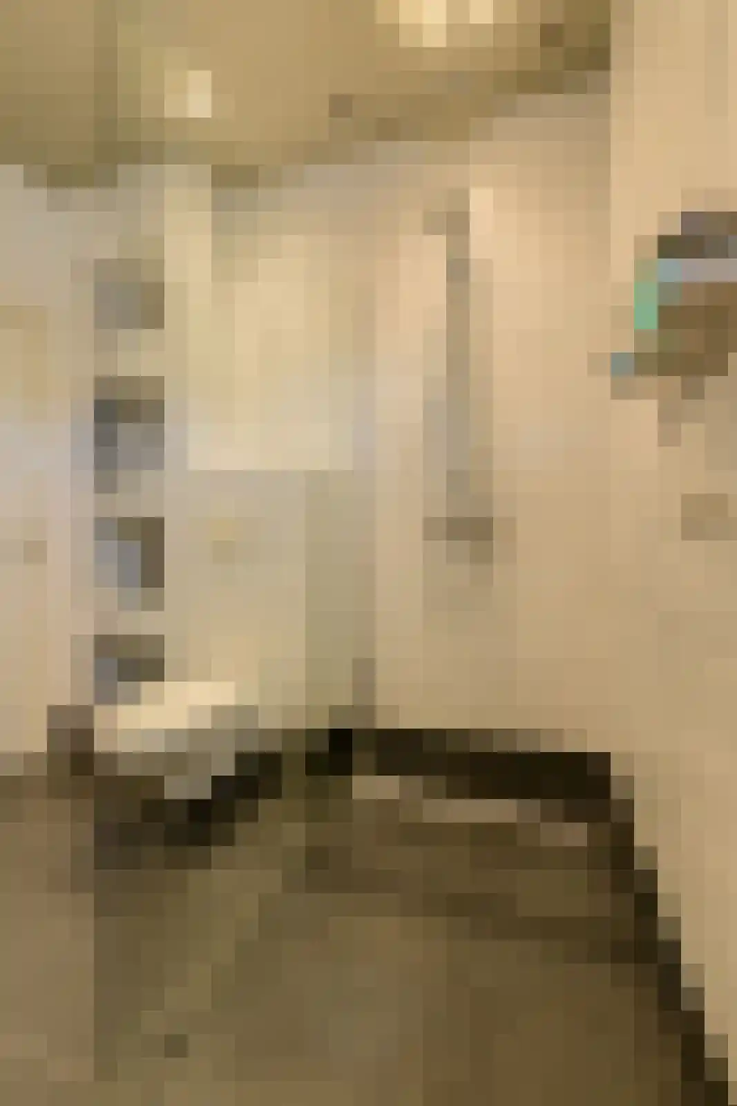 Rietbeemd 43 Oosterhout thumbnail 24
