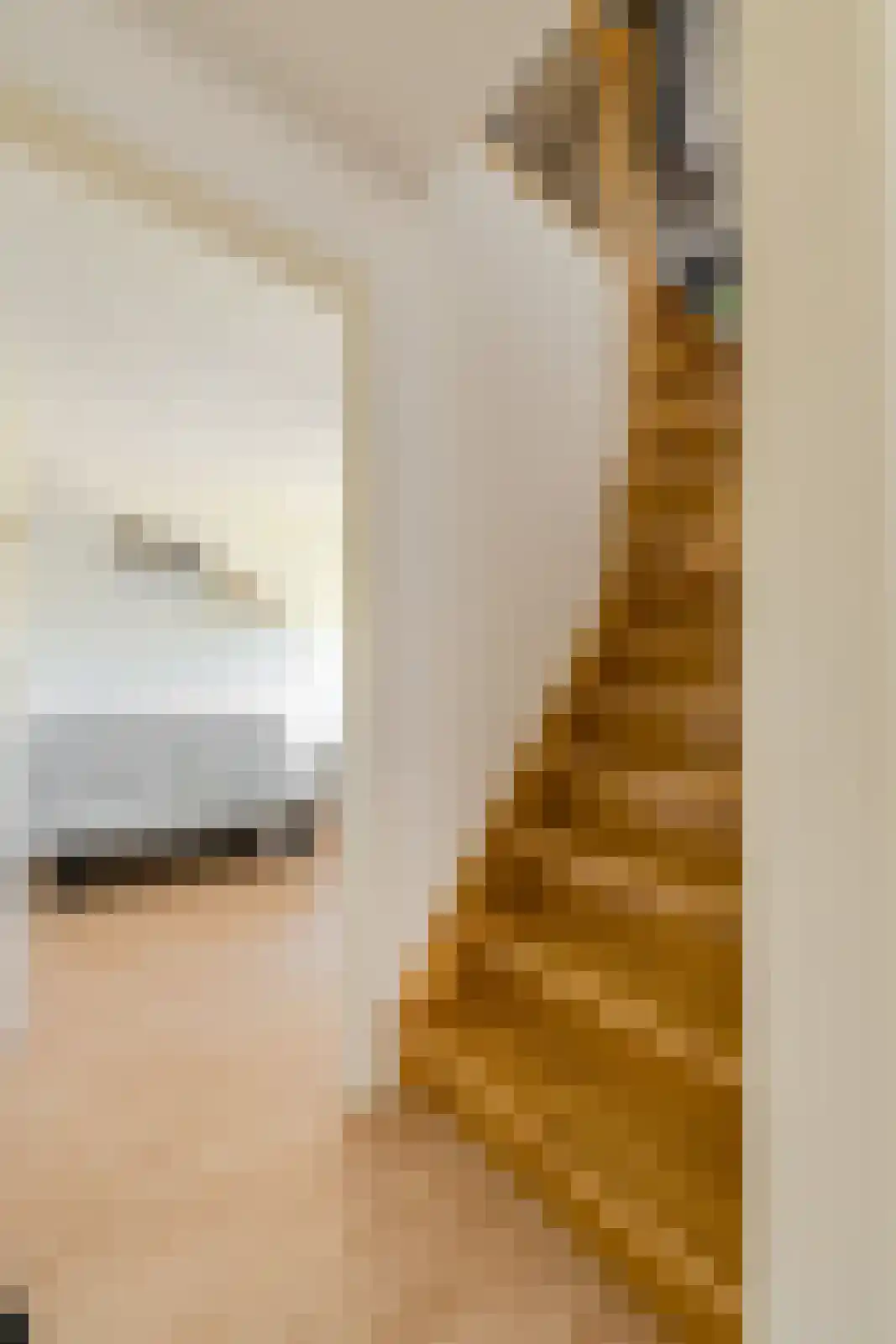 Rietbeemd 43 Oosterhout thumbnail 29