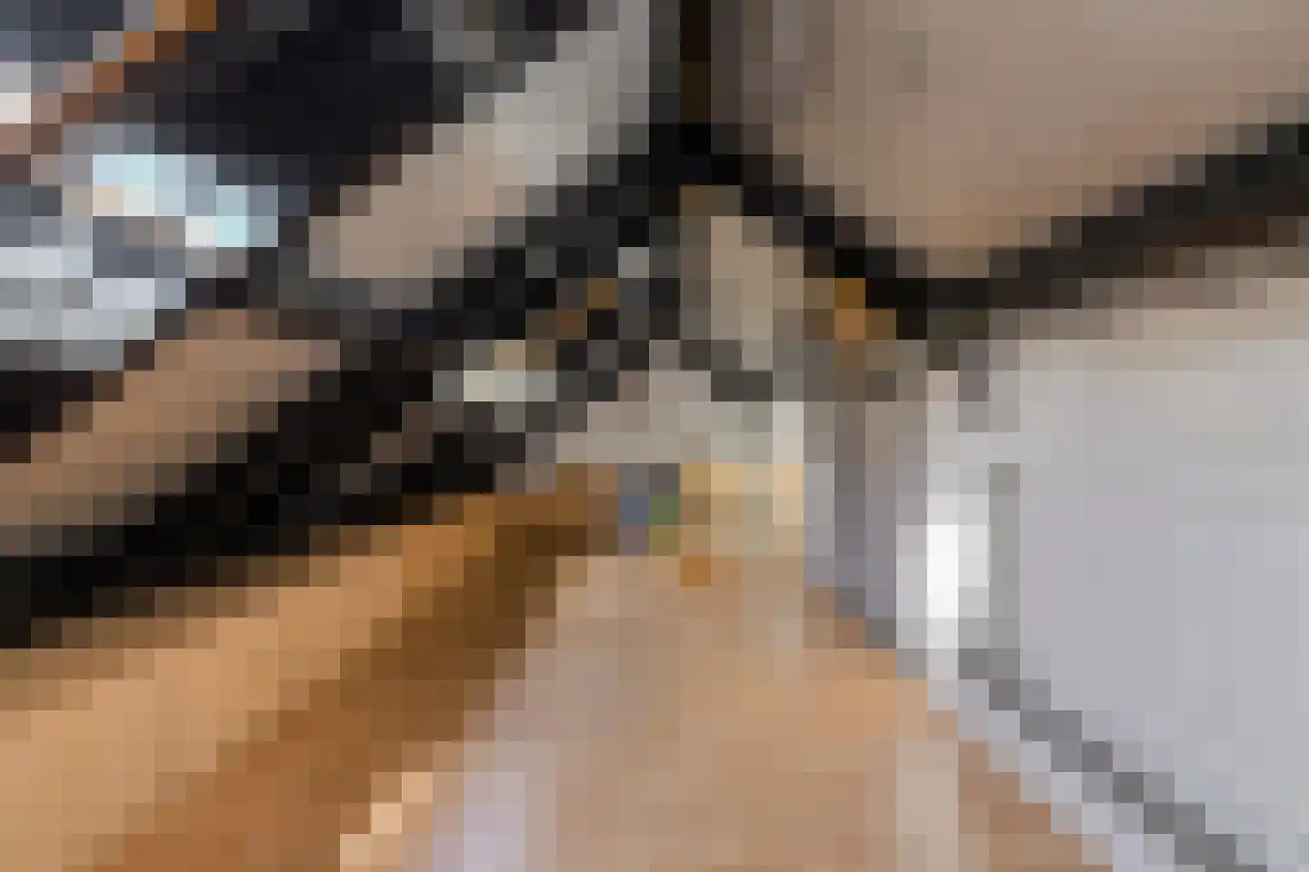 Rietbeemd 43 Oosterhout thumbnail 30