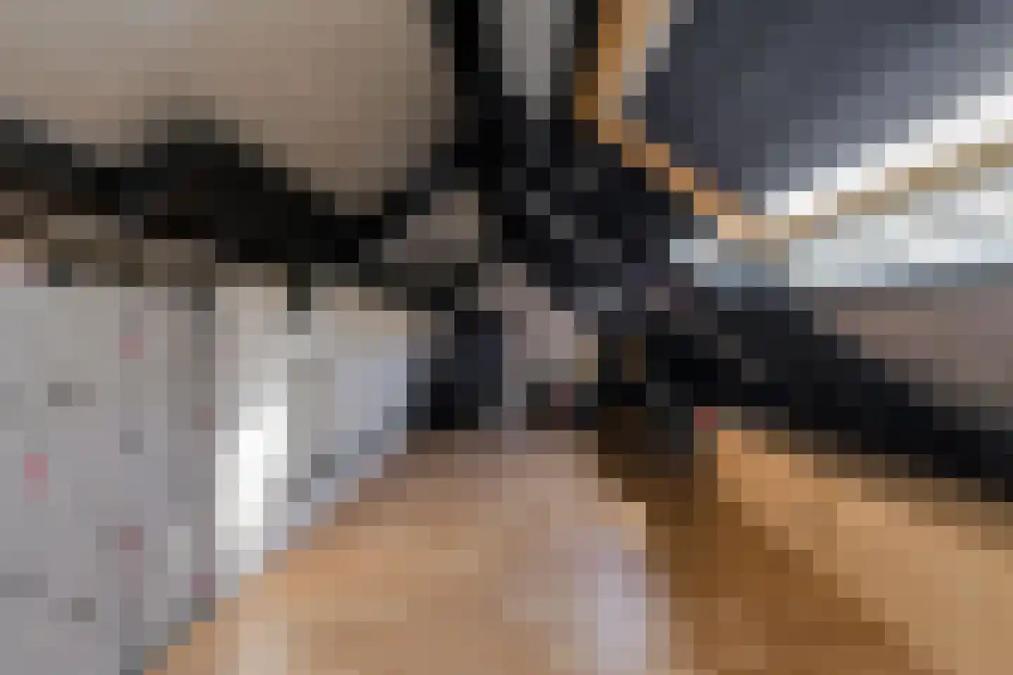 Rietbeemd 43 Oosterhout thumbnail 31