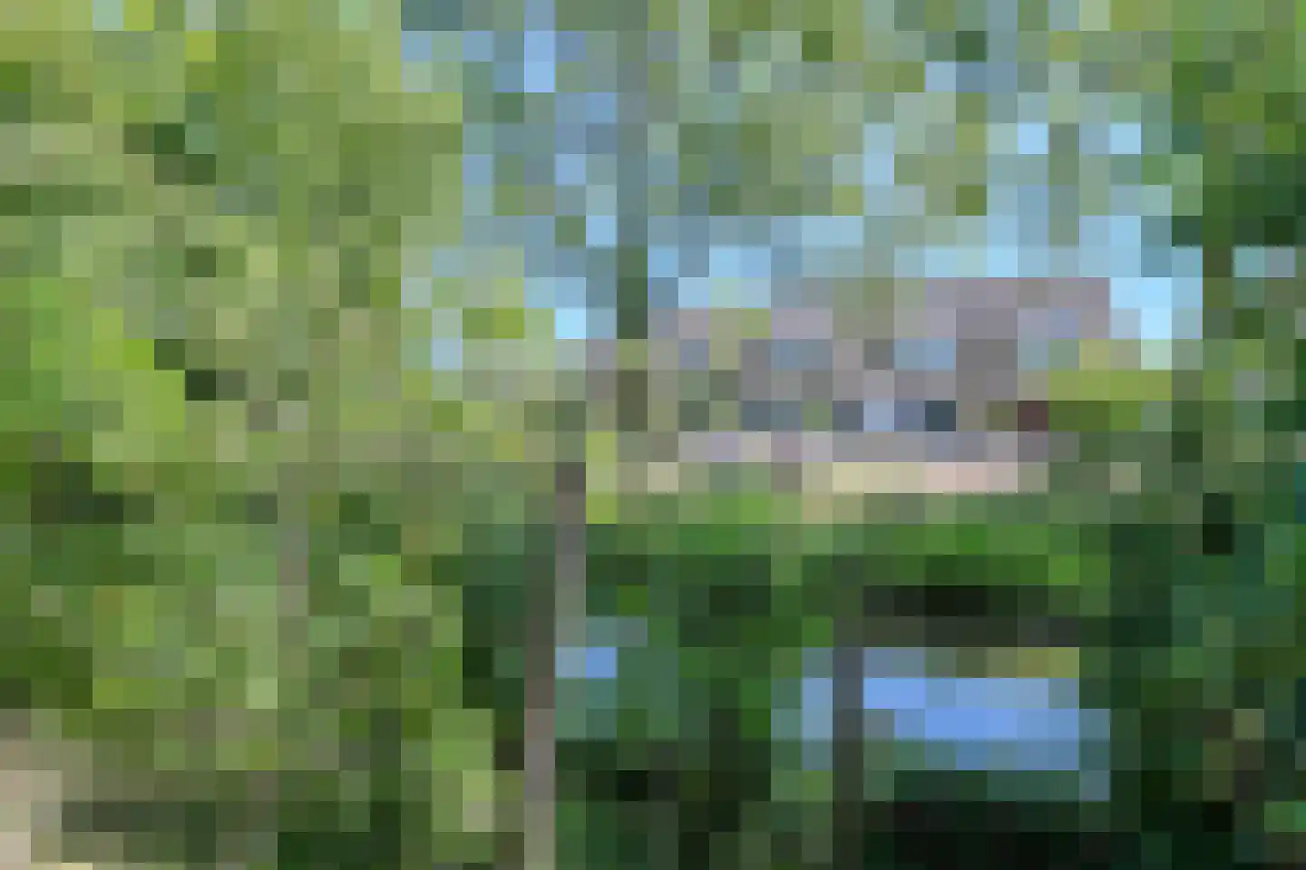 Rietbeemd 43 Oosterhout thumbnail 34