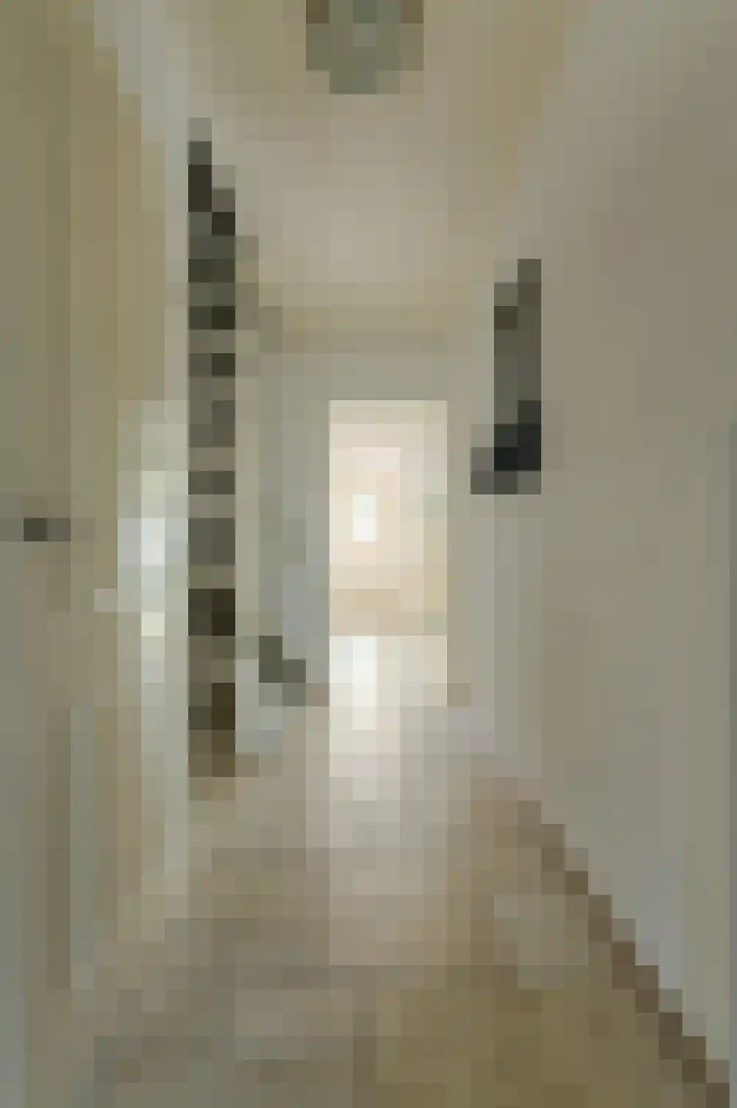 Rietbeemd 43 Oosterhout thumbnail 4