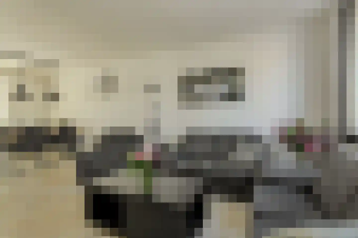 Rietbeemd 43 Oosterhout thumbnail 6