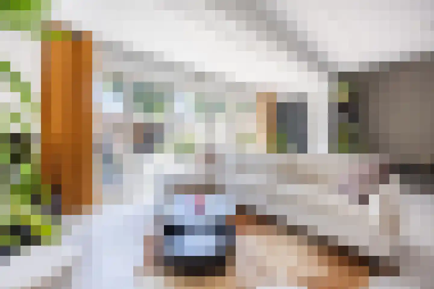 Rietbeemd 65 Oosterhout thumbnail 12