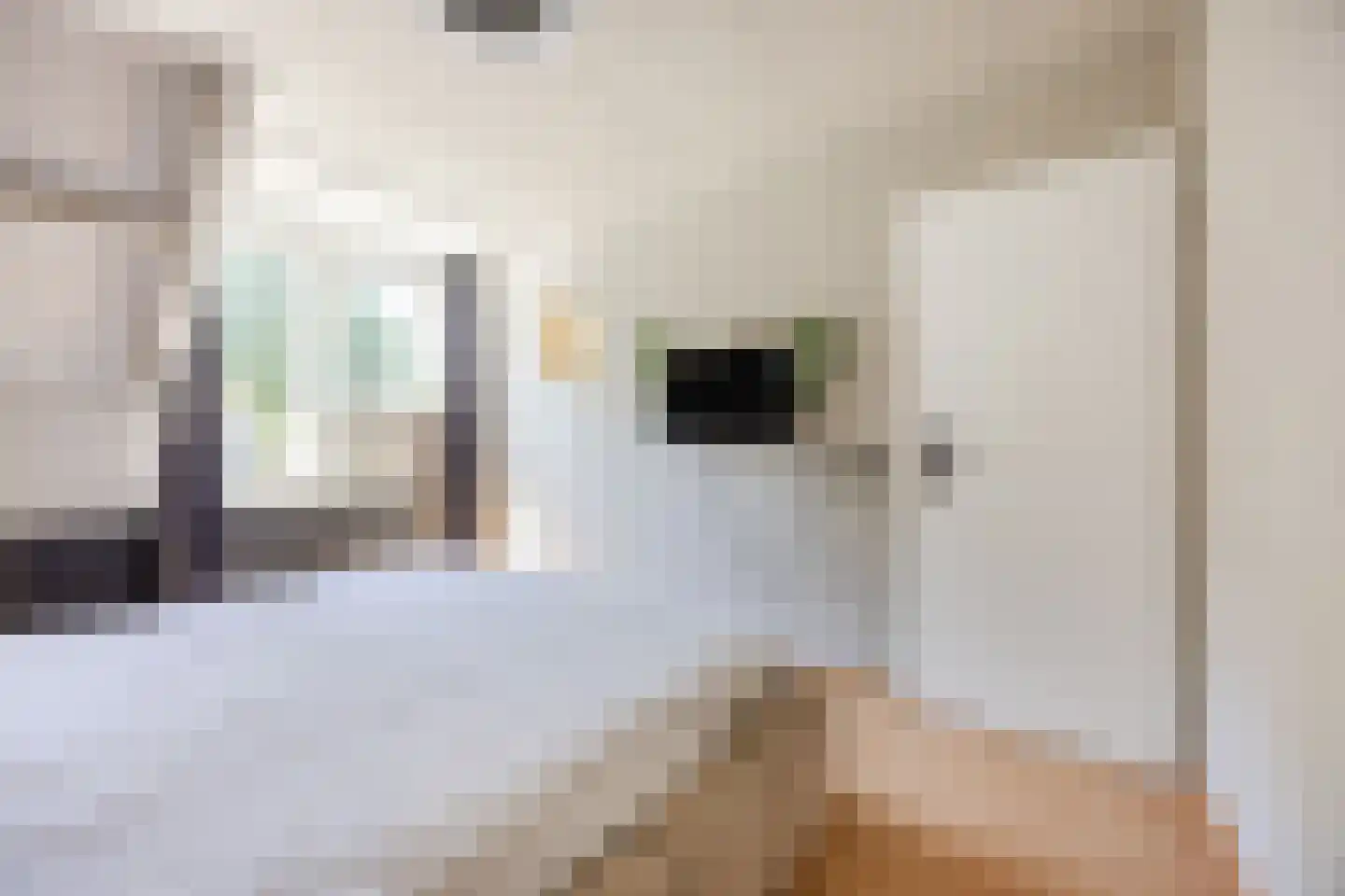 Rietbeemd 65 Oosterhout thumbnail 20