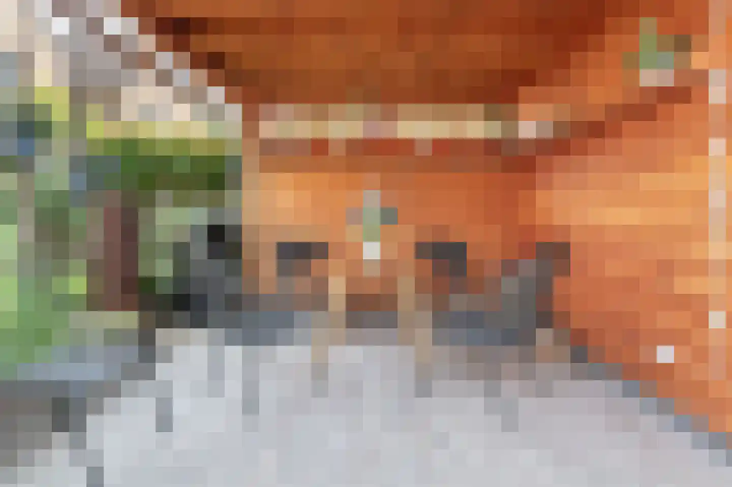 Rietbeemd 8 Valkenswaard thumbnail 38