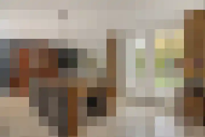 Rietbeemdenborch 5 Rosmalen thumbnail 10