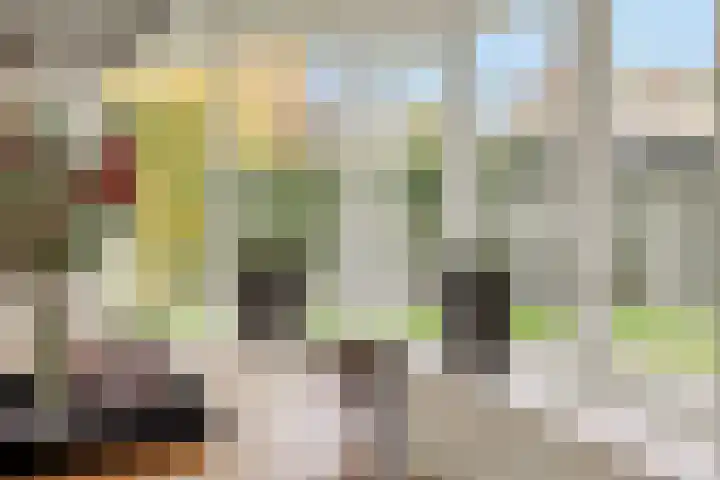 Rietbeemdenborch 5 Rosmalen thumbnail 13