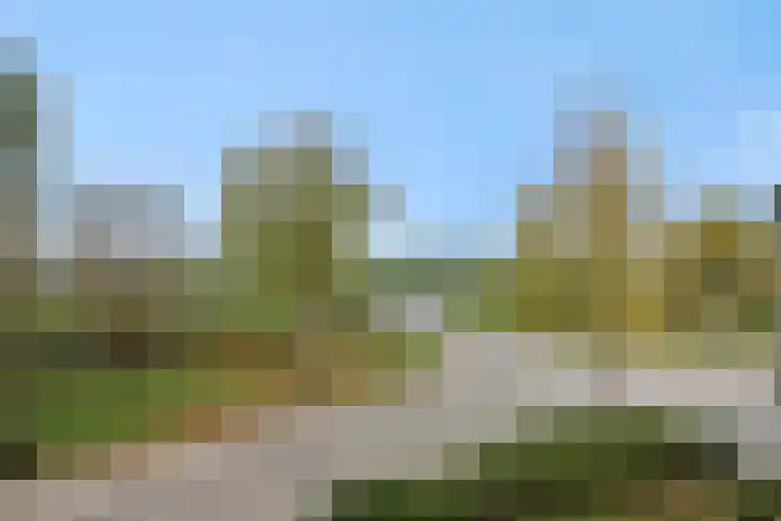 Rietbeemdenborch 5 Rosmalen thumbnail 22