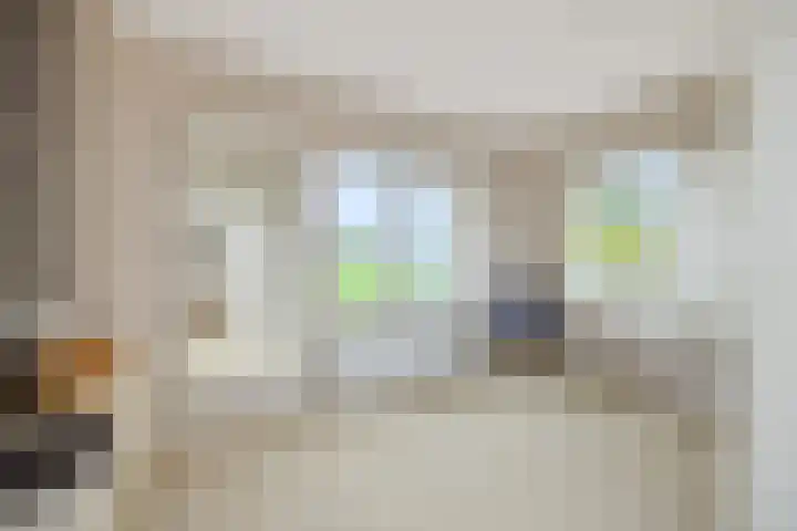 Rietbeemdenborch 5 Rosmalen thumbnail 26