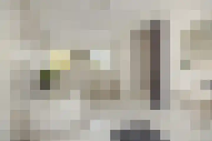 Rietbeemdenborch 5 Rosmalen thumbnail 29