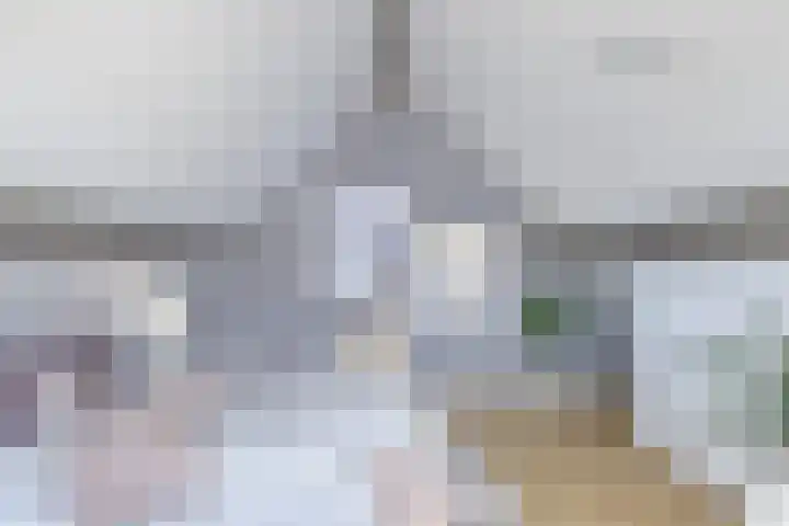 Rietbeemdenborch 5 Rosmalen thumbnail 33