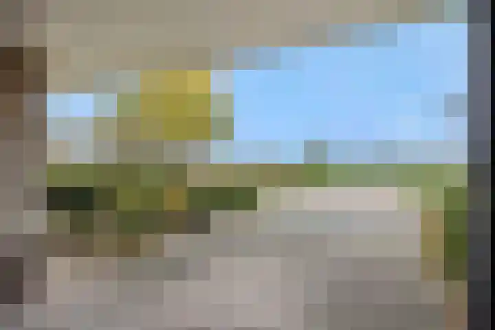 Rietbeemdenborch 5 Rosmalen thumbnail 34