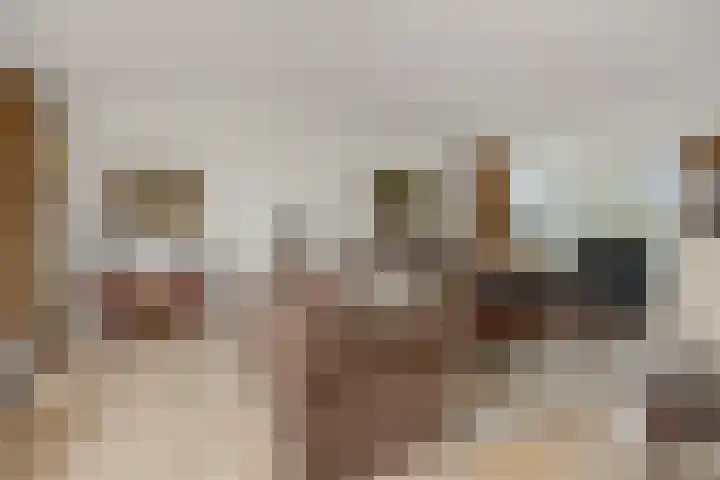 Rietbeemdenborch 5 Rosmalen thumbnail 7