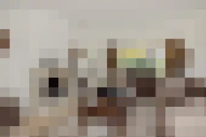 Rietbeemdenborch 5 Rosmalen thumbnail 8