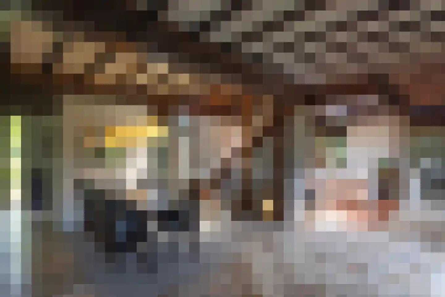 Rietberglaan 8 Epe thumbnail 14
