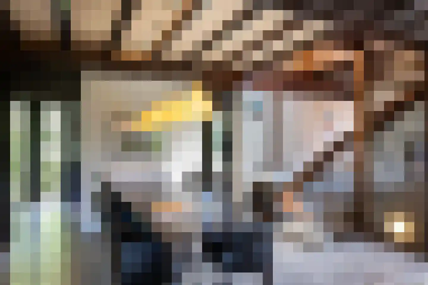 Rietberglaan 8 Epe thumbnail 15