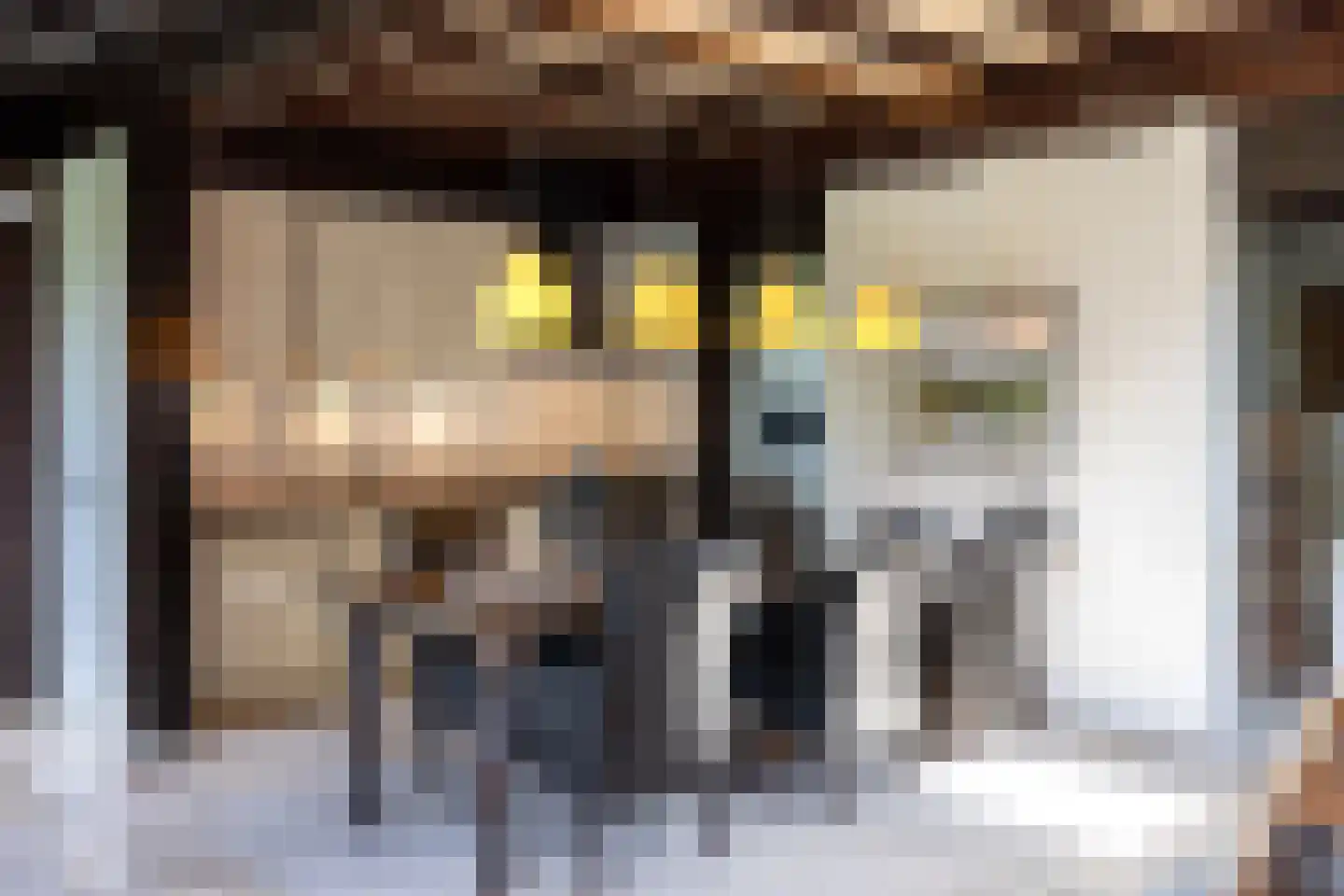 Rietberglaan 8 Epe thumbnail 16