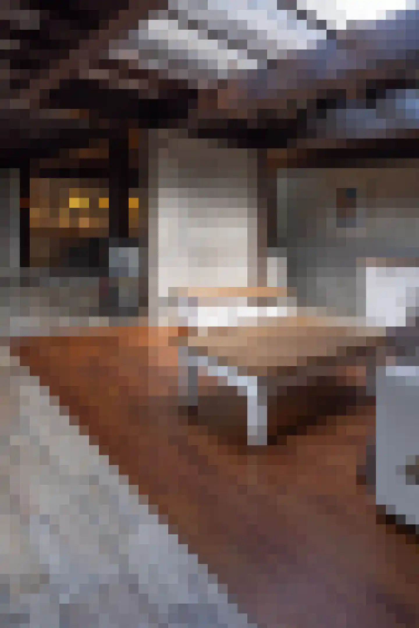 Rietberglaan 8 Epe thumbnail 20
