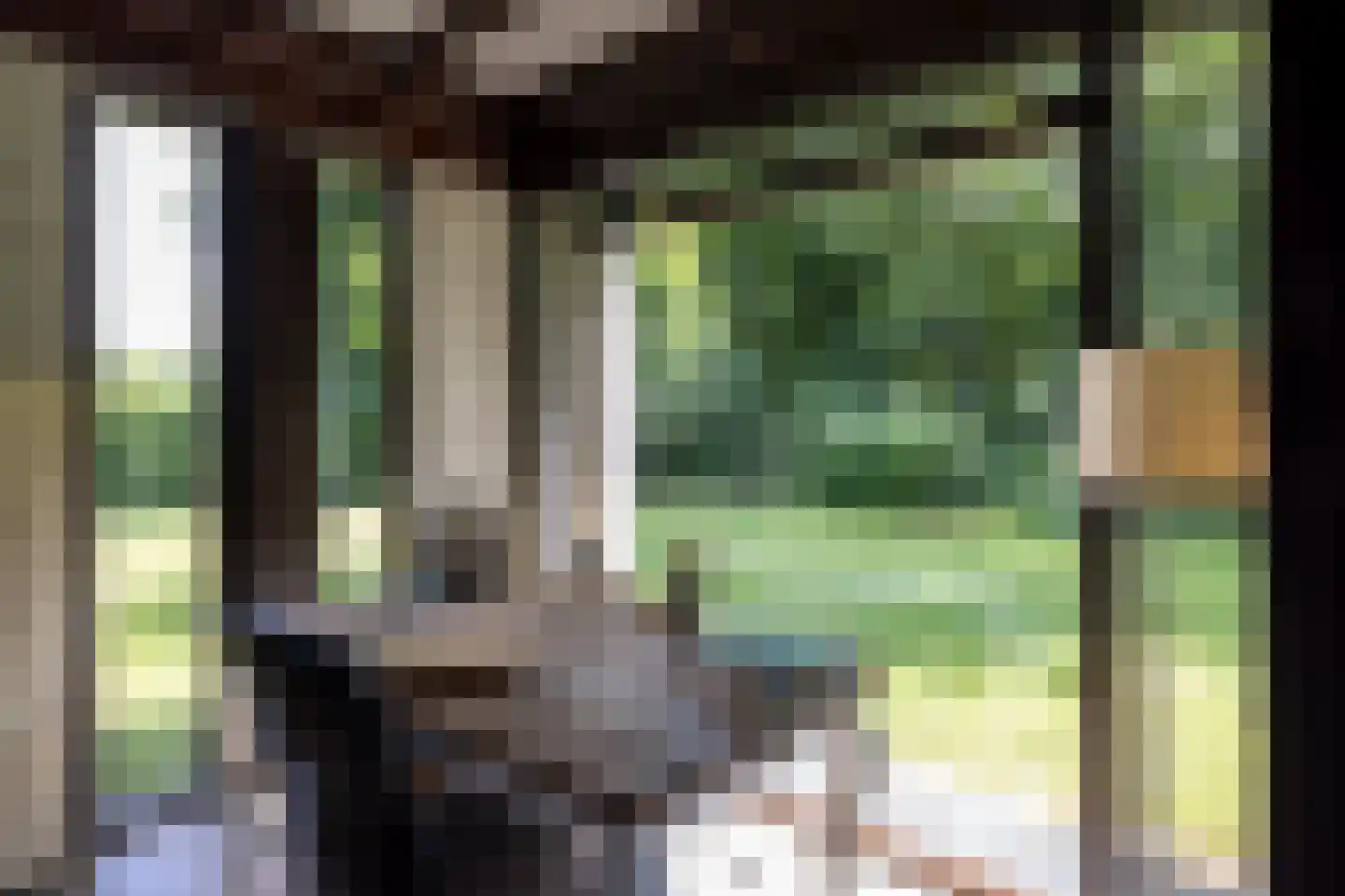 Rietberglaan 8 Epe thumbnail 30