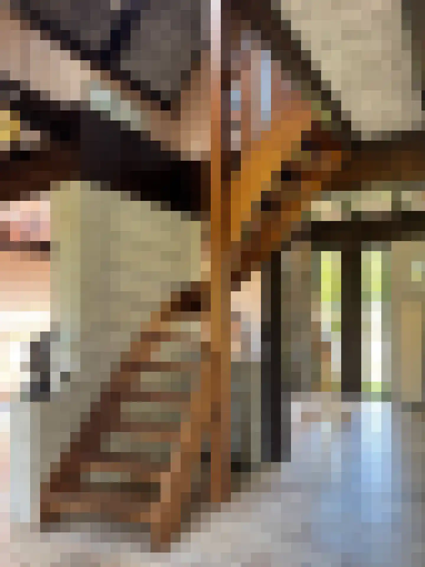 Rietberglaan 8 Epe thumbnail 33