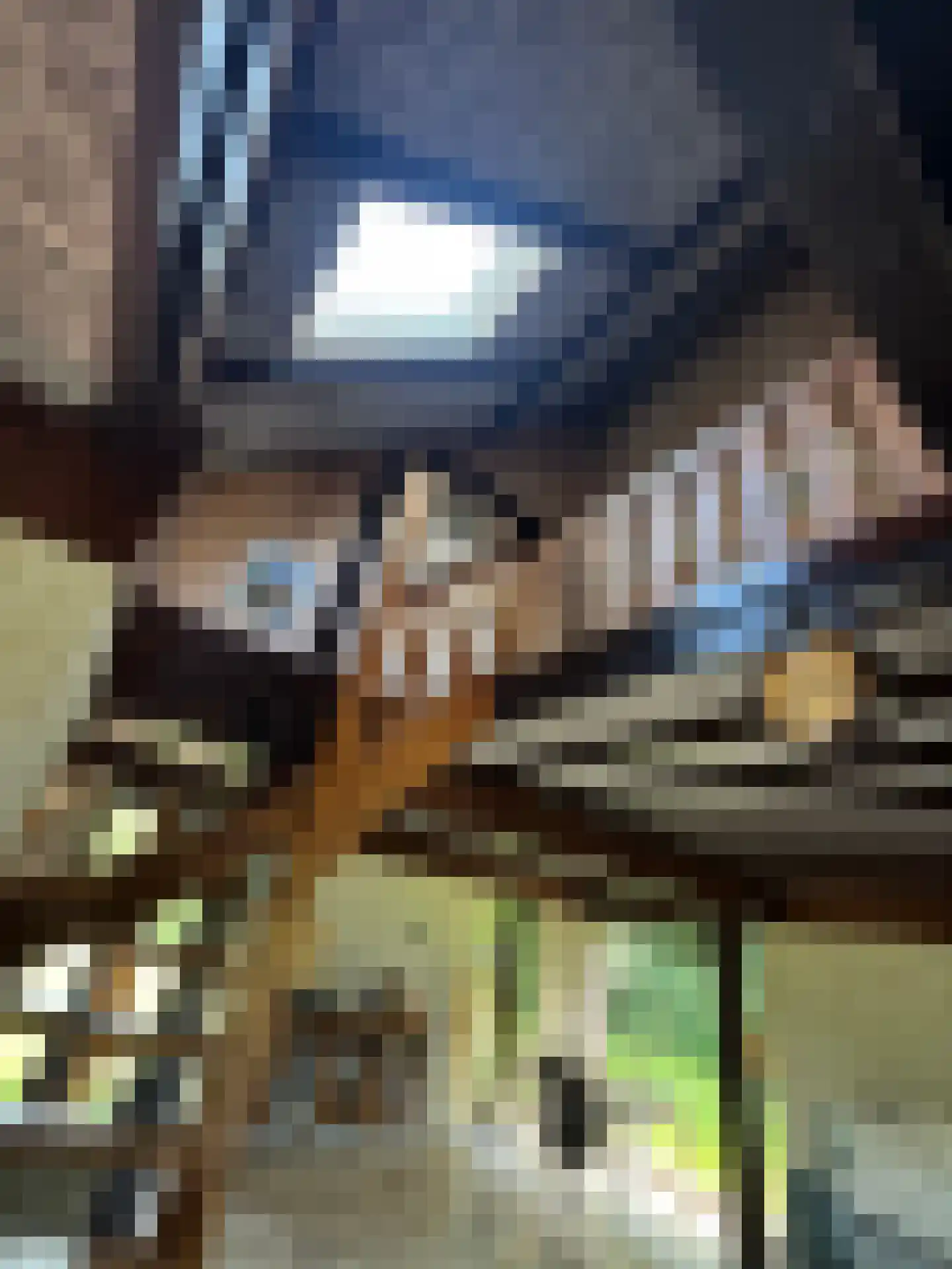 Rietberglaan 8 Epe thumbnail 34