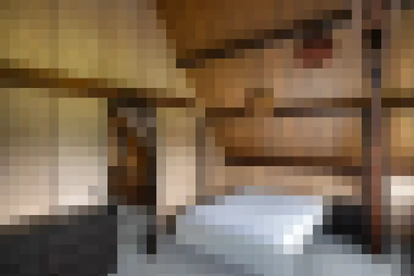 Rietberglaan 8 Epe thumbnail 36