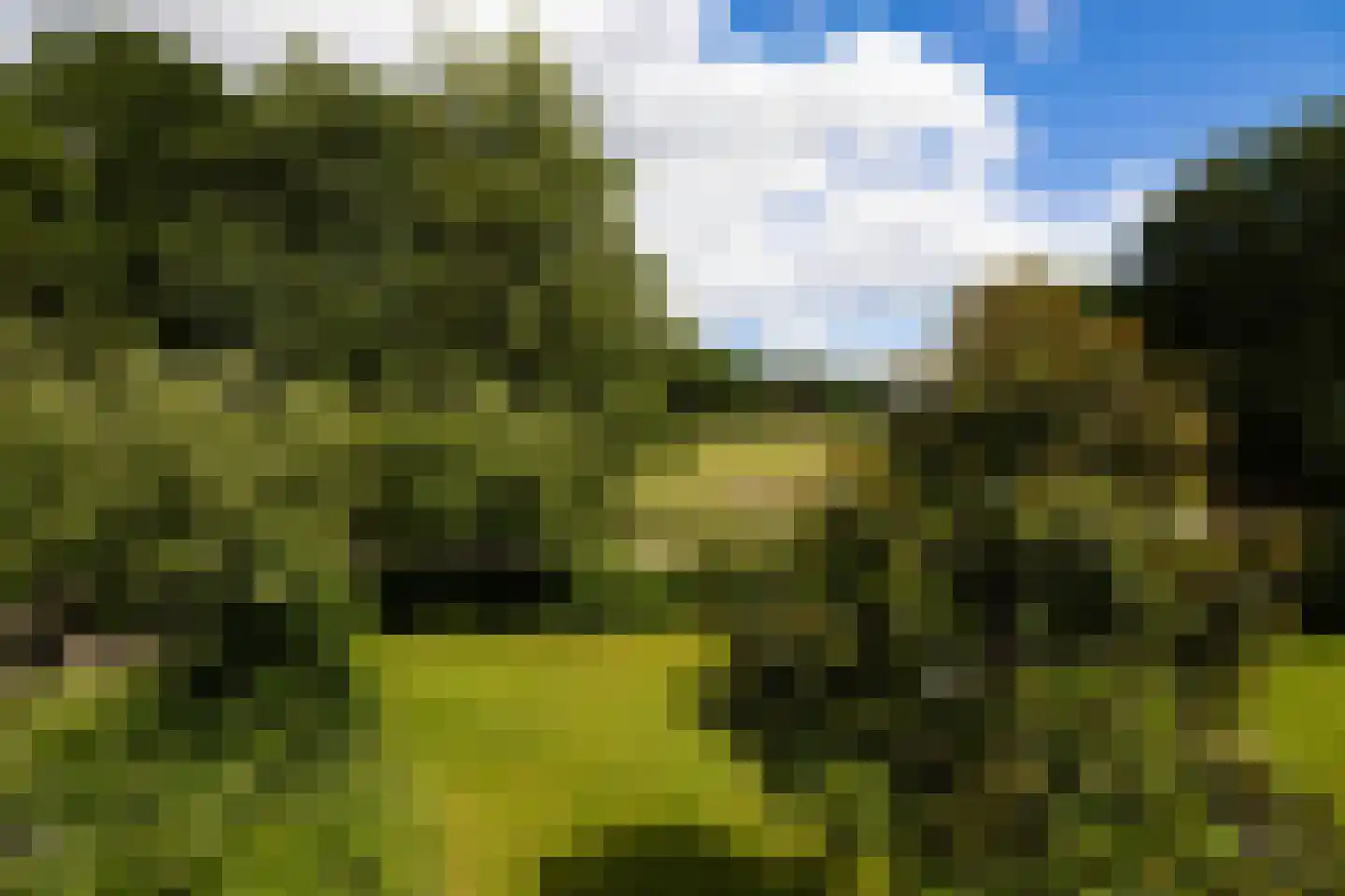 Rietberglaan 8 Epe thumbnail 40
