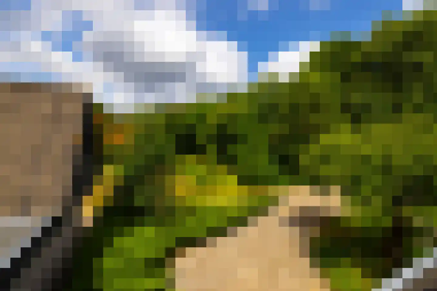 Rietberglaan 8 Epe thumbnail 41