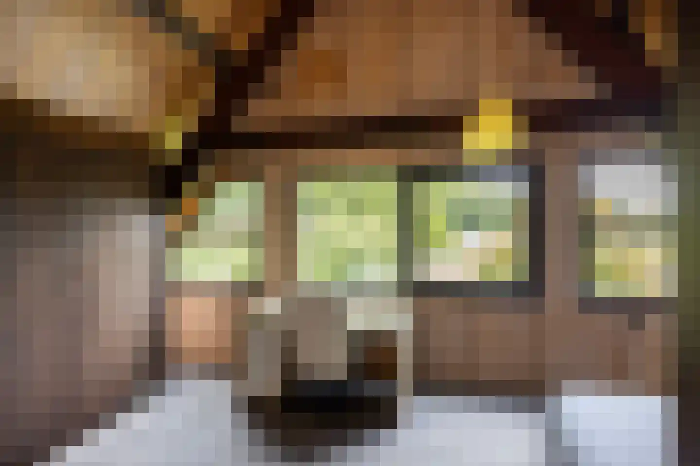 Rietberglaan 8 Epe thumbnail 42