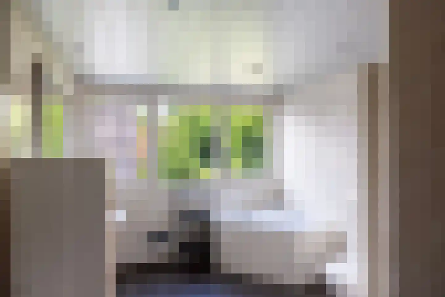 Rietberglaan 8 Epe thumbnail 45