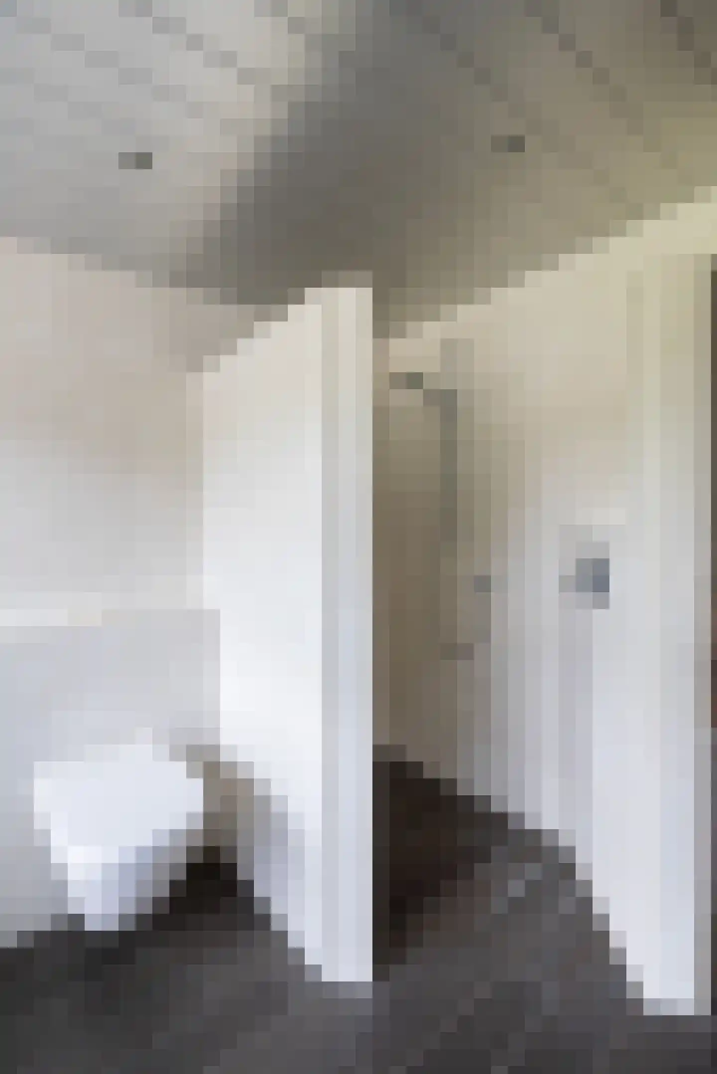 Rietberglaan 8 Epe thumbnail 46