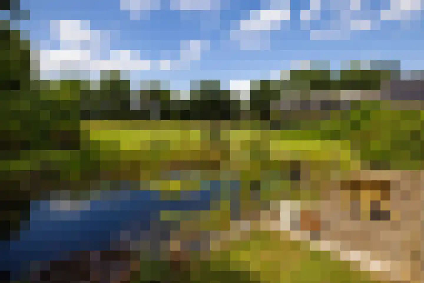 Rietberglaan 8 Epe thumbnail 5