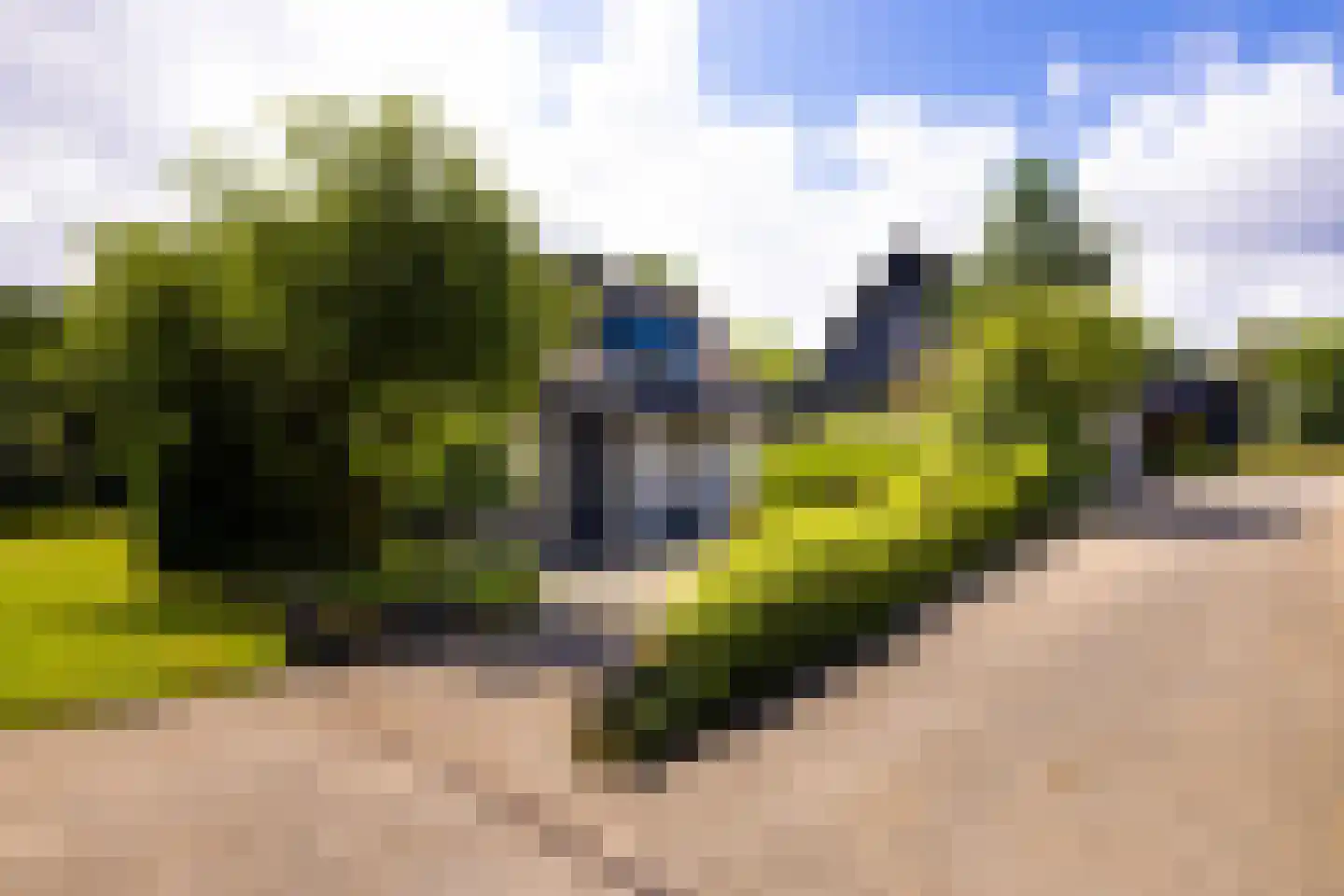 Rietberglaan 8 Epe thumbnail 50