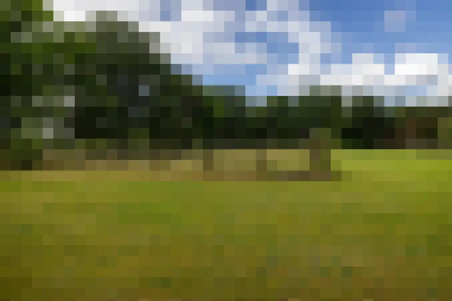 Rietberglaan 8 Epe thumbnail 54
