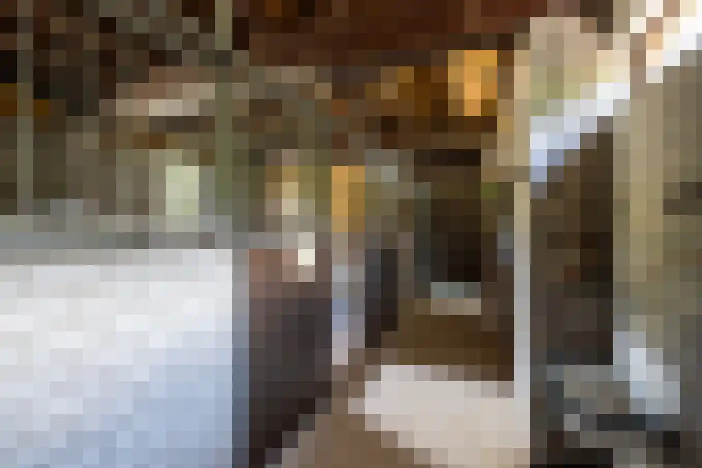 Rietberglaan 8 Epe thumbnail 56