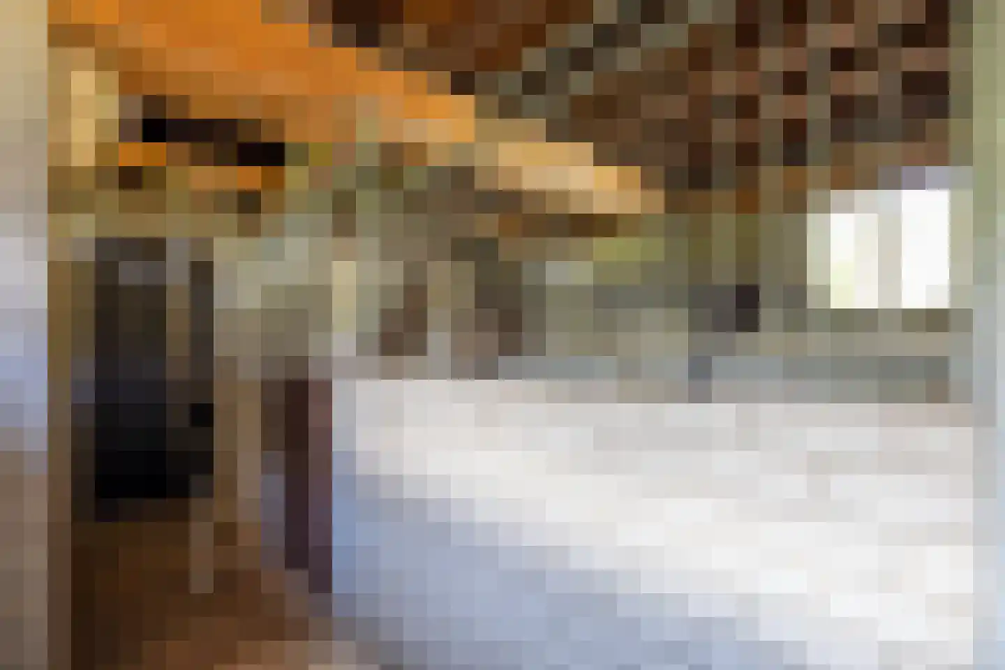 Rietberglaan 8 Epe thumbnail 57