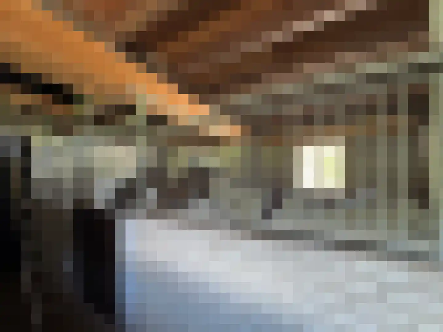 Rietberglaan 8 Epe thumbnail 58