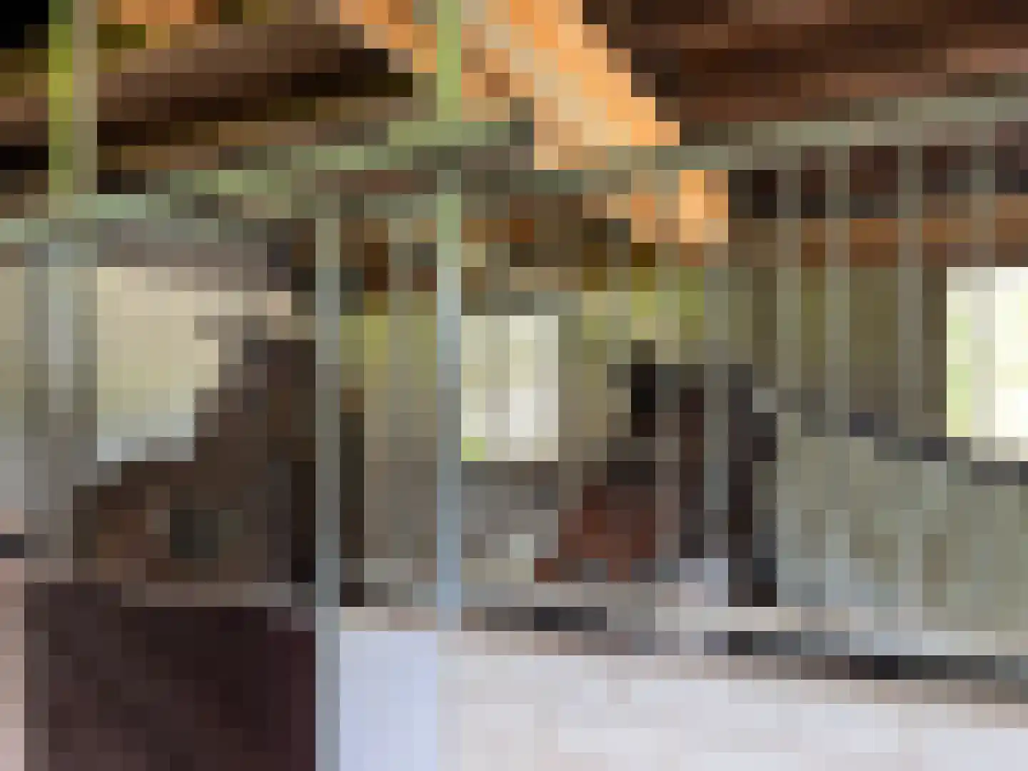 Rietberglaan 8 Epe thumbnail 59
